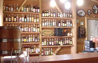 Quebra Gelo Palhoça - Foto 1