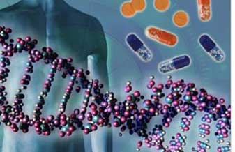 Centro Médico Diagnóstico Palhoça - Foto 1