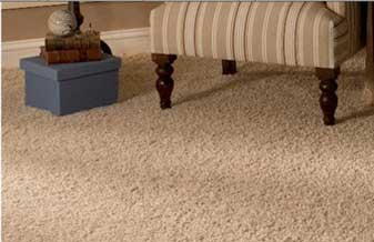 Armazém do Piso - Foto 1