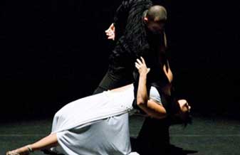 Estilo Livre - Foto 1