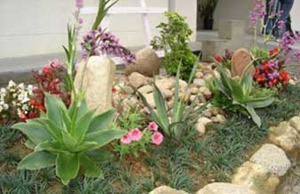 Efeito Verde – Jardinagem e Paisagismo - Foto 1