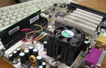 Marcelo Eduardo Martins - Foto 1