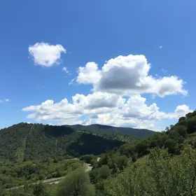 Palhoça