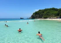 balneabilidade praias Palhoça