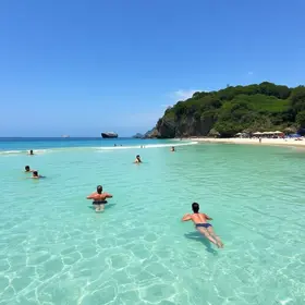 balneabilidade praias Palhoça