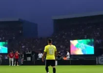 Prefeitura de Palhoça organiza logística para o show de Armandinho