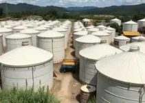 Crescimento de Palhoça