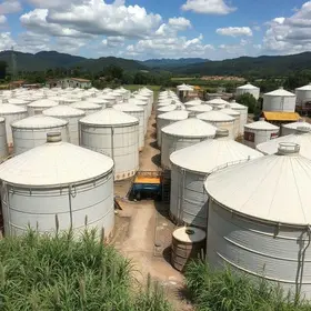 Crescimento de Palhoça