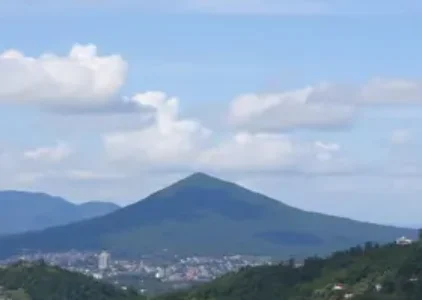 Últimas noticias de Palhoça