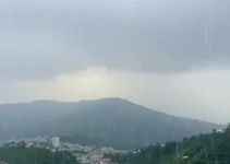 Palhoça chuva e temperaturas