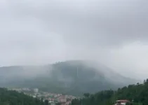 Palhoça
