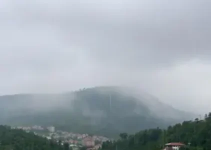 Últimas noticias de Palhoça