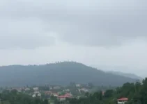 Palhoça