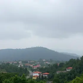 Palhoça