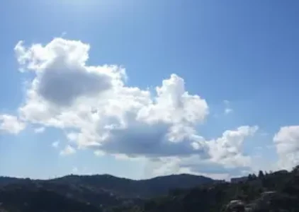 Últimas noticias de Palhoça