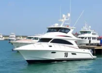 exportações de barcos