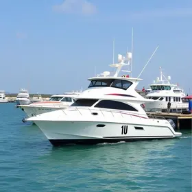 exportações de barcos