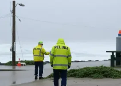 Últimas noticias de Palhoça