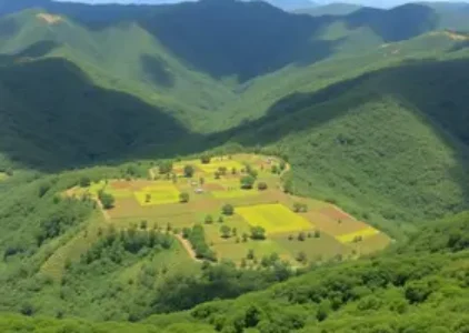 Últimas noticias de Palhoça