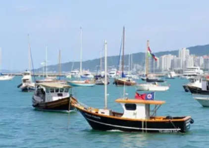 Últimas noticias de Palhoça
