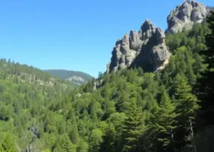 Últimas noticias de Palhoça