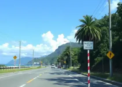 Últimas noticias de Palhoça