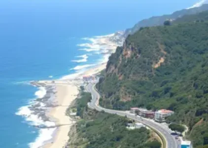 Jornal Palavra Palhocense