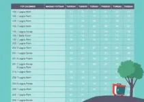 calendário de matrículas Palhoça 2027