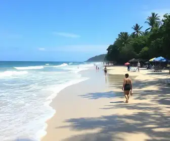vistorias nas praias de Palhoça